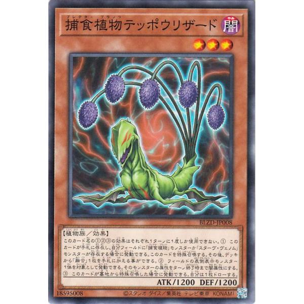 遊戯王オフィシャルカードゲーム デュエルモンスターズ 遊戯王カード