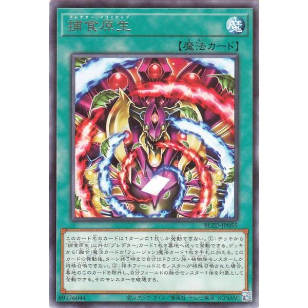 遊戯王オフィシャルカードゲーム デュエルモンスターズ 遊戯王カード