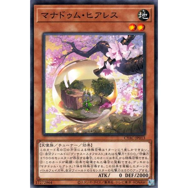 trade-lab-japan_cyac-jp013-n