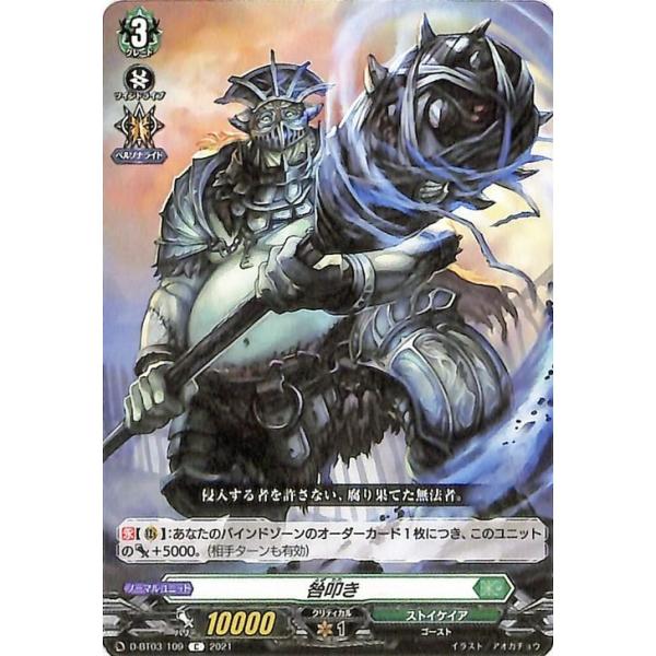 カードファイト!! ヴァンガード ヴァンガード overDress 共進する双星