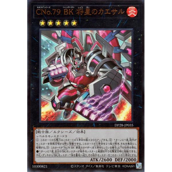 遊戯王 - 将さま専用その2 遊戯王オフィシャルカードゲーム デュエルモンスターズ 遊戯王