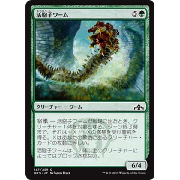 Magic: The Gathering MTG マジック：ザ・ギャザリング 活胞子