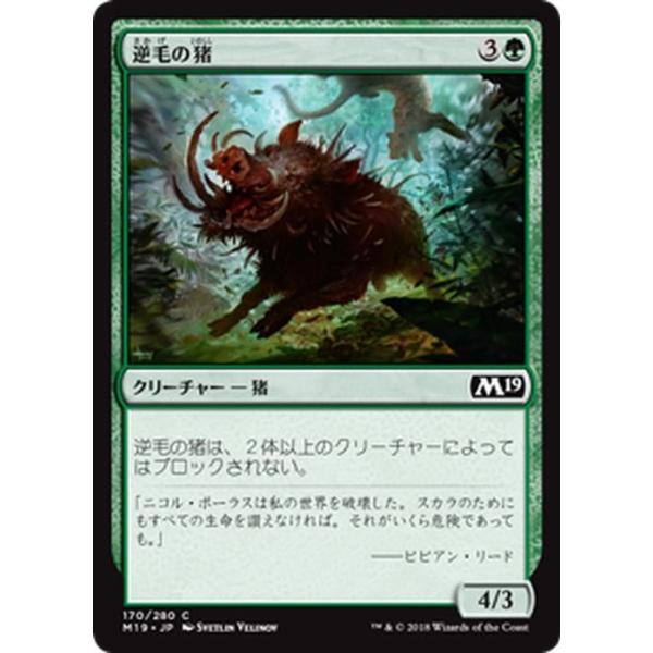 Magic: The Gathering（マジック：ザ・ギャザリング） MTG 逆毛の猪