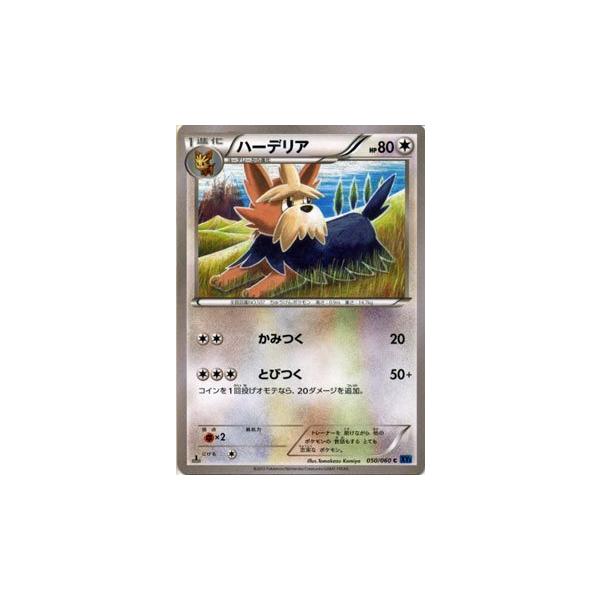 ポケモンカードゲームイラストコレクション