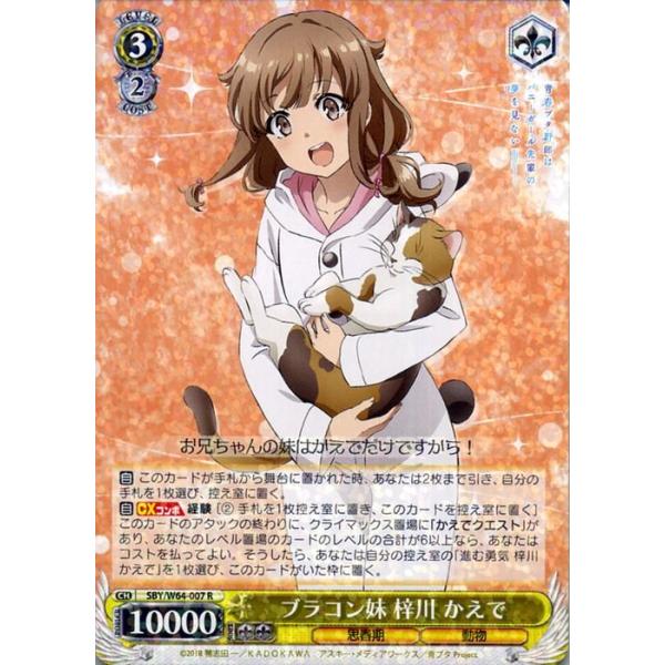 trade-lab-japan_sbyw64-007-r trade-lab-japan_sbyw64-007-r