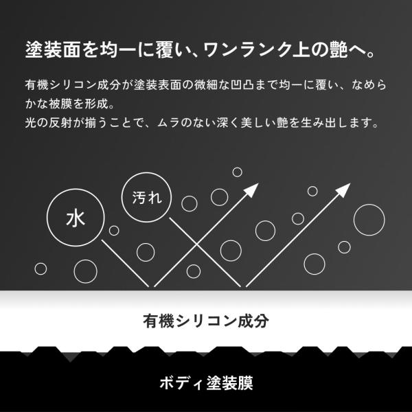 tradingtrade_cocta11_4_d_20260309171853