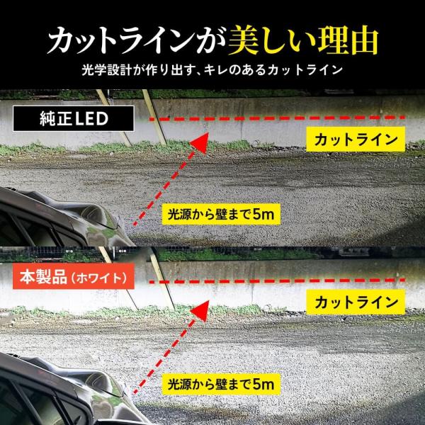 tradingtrade_fllfe1_4_d_20250513112650