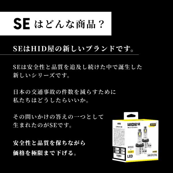 tradingtrade_flse2_2_d_20260309153936