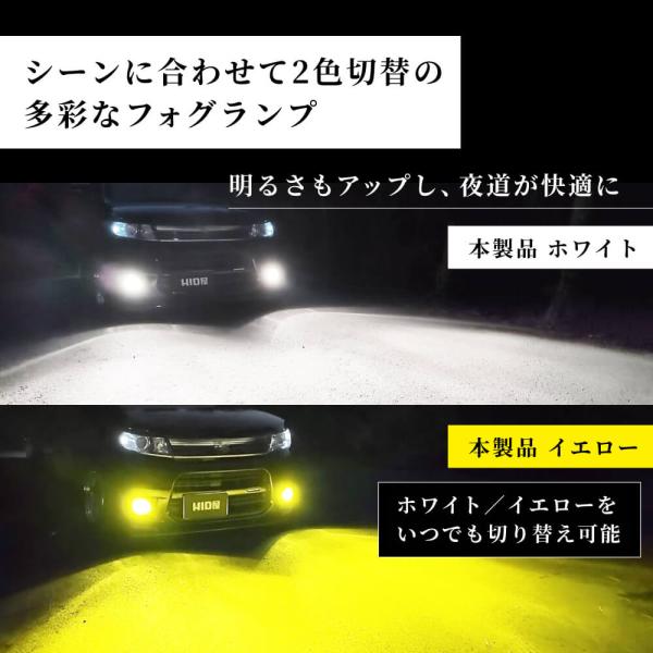 tradingtrade_flse2_4_d_20260204163959