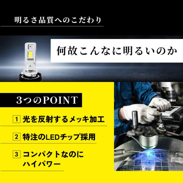 tradingtrade_flse2_5_d_20260204164002