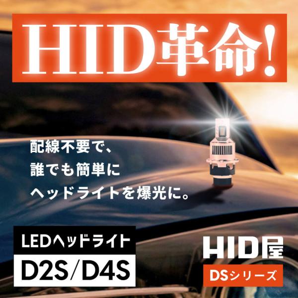 tradingtrade_hllhf1_1_d_20240829155511