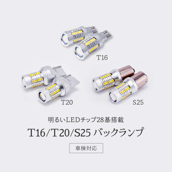 tradingtrade_lb003_1_d_20231205170853