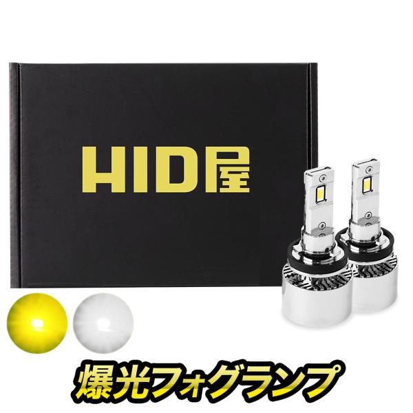 HID屋 H4 H11 LED フォグ イエロー Mシリーズ 10400lm 車検対応 フォグランプ...