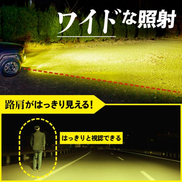 tradingtrade_lfa011_4_d_20240611110826