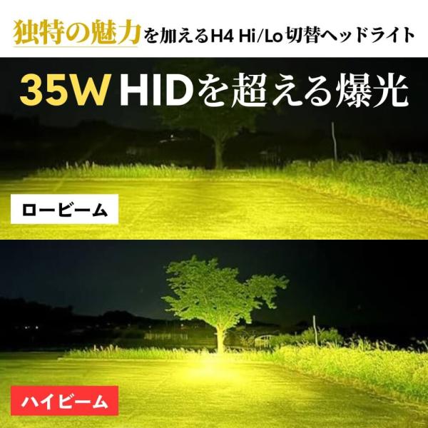 tradingtrade_lfa012_3_d_20250123143122