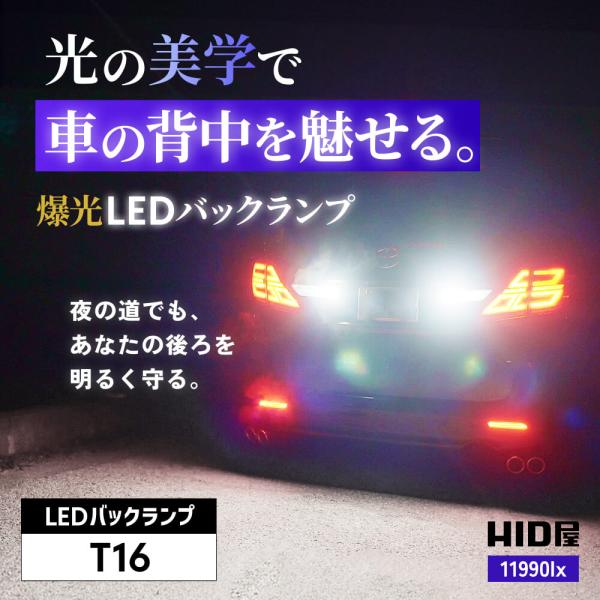 tradingtrade_tt-04_1_d_20251031131405