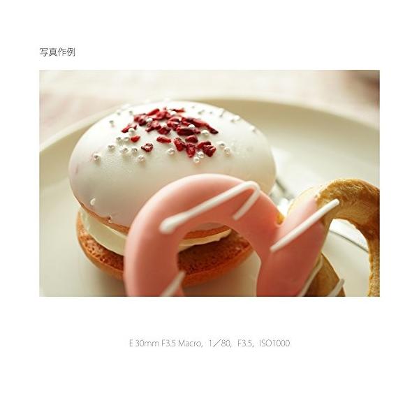 ソニー SONY 単焦点レンズ E 30mm F3.5 Macro ソニー Eマウント用 APS-C専用 SEL30M35 ソニー SONY 単焦点レンズ E 30mm F3.5 Macro ソニー Eマウント用 APS-C専用 SEL30M35