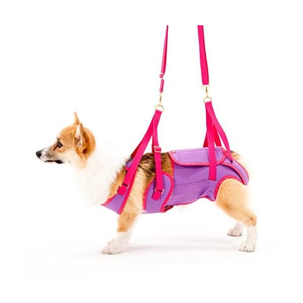 With ウィズ 歩行補助ハーネス Lalawalk 中型犬 コーギー用 パープル ピンク Cmサイズ Purrworld Com