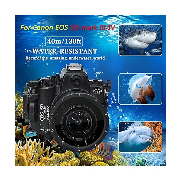 Sea Eos Iii Canon Frogs Mark Iv Mark ダイビング 5d Mark Iv 5d 水中カメラケース Frogs アンダーウォーターハウジング 防水性能40m 防 16031362517 クロスタウンストア