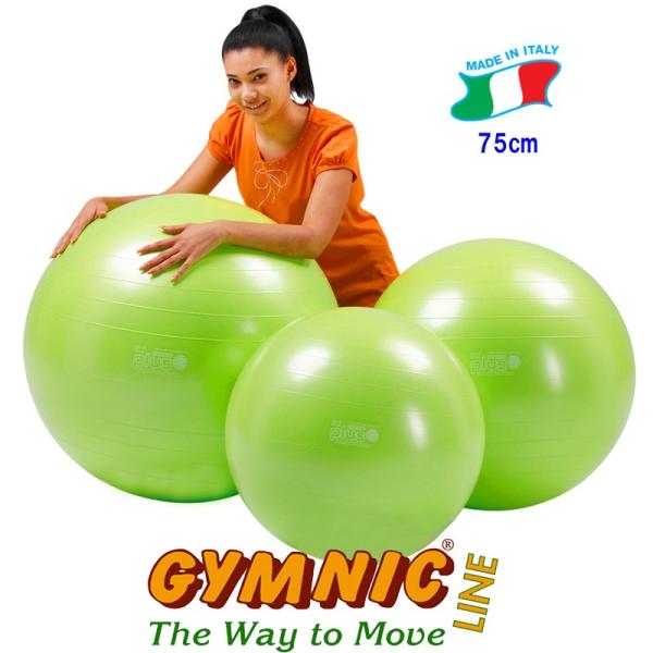 ギムニクボールｐｌｕｓ75 ライムグリーン 直径75cm 身長175cm以上 ギムニク バランスボール Buyee Buyee 提供一站式最全面最专业现地yahoo Japan拍卖代bid代拍代购服务 Bot Online