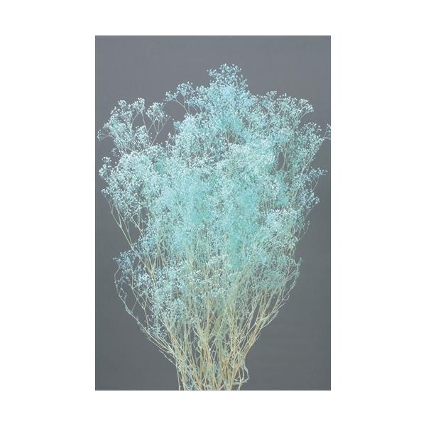 【商品詳細】【商品名】大地農園/ソフトカスミ草【サイズ】L約40.0cm【入数】22g【注意】※ご使用のＰＣ環境により、実物の色目と差異がある場合もあります。※生花由来の商品のため、商品ごとに色・サイズ・状態等に個体差がございます。そのため...