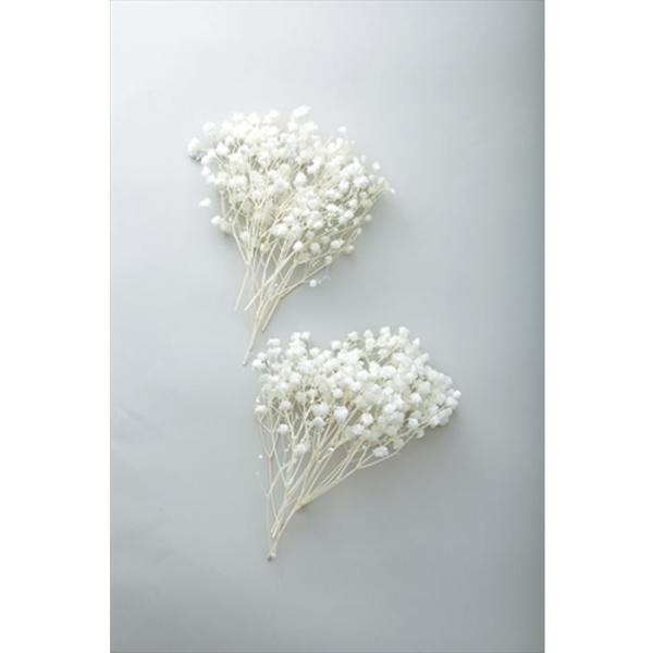 【商品詳細】【商品名】カスミ草・オーバータイム（箱入り）【サイズ】L約13.0-15.0cm【入数】25g【注意】※ご使用のＰＣ環境により、実物の色目と差異がある場合もあります。※生花由来の商品のため、商品ごとに色・サイズ・状態等に個体差が...