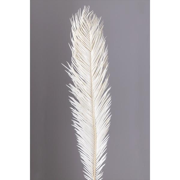 �y�v���U�[�u�h�z��n�_��/�\�e�c/��2�{/�I�t�z���C�g/00120-011