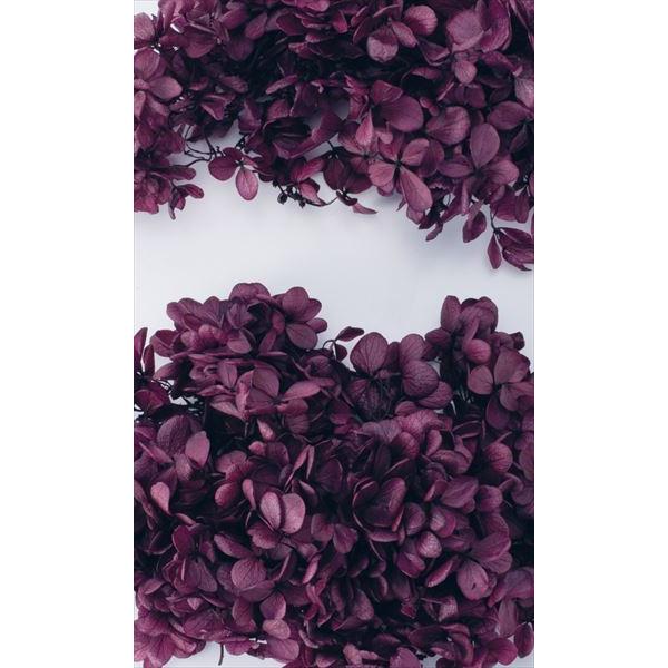 【商品詳細】【商品名】大地農園/ソフトピラミッドアジサイ【入り数】1箱(約2輪)【注意】※ご使用のＰＣ環境により、実物の色目と差異がある場合もあります。※生花由来の商品のため、商品ごとに色・サイズ・状態等に個体差がございます。そのため、入荷...