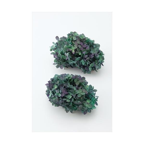 【商品詳細】【商品名】大地農園/ソフトピラミッドアジサイ【入り数】1箱(約2輪)【注意】※ご使用のＰＣ環境により、実物の色目と差異がある場合もあります。※生花由来の商品のため、商品ごとに色・サイズ・状態等に個体差がございます。そのため、入荷...