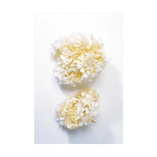 yvU[uhzn_/\tg߃AWTCEwbh /2/ItzCg/01900-010