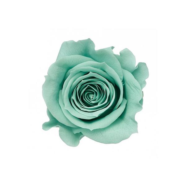 【商品詳細】【商品名】大地農園/ローズ・いずみ【サイズ】花径:約3.5-4.5cmφ・花丈:約3-3.5cm【入数】1箱（約9輪）【注意】※ご使用のＰＣ環境により、実物の色目と差異がある場合もあります。※生花由来の商品のため、商品ごとに色・...