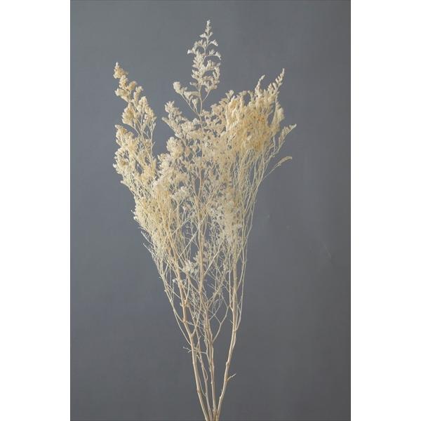 【商品詳細】【商品名】大地農園/カスピア【サイズ】L約60cm【入数】約20g【注意】※ご使用のＰＣ環境により、実物の色目と差異がある場合もあります。※生花由来の商品のため、商品ごとに色・サイズ・状態等に個体差がございます。そのため、入荷に...