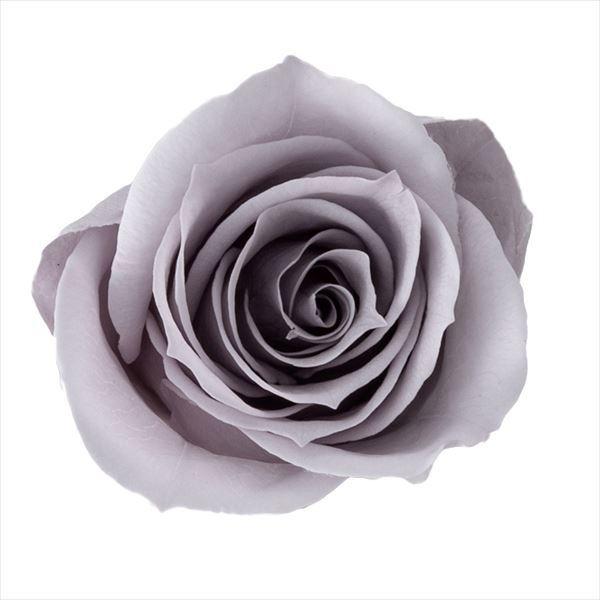 【商品詳細】【商品名】大地農園/ローズ・ミミ【サイズ】花径:約3-3.5cmφ・花丈:約2.5-3cm【入数】1箱（約9輪）【注意】※ご使用のＰＣ環境により、実物の色目と差異がある場合もあります。※生花由来の商品のため、商品ごとに色・サイズ...