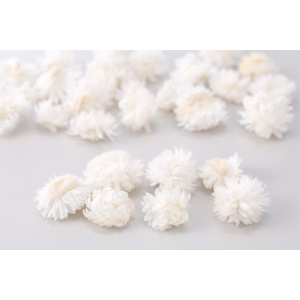 【商品詳細】【商品名】大地農園/ヘリクリサム・ヘッド【入り数】1束(約10g/20-25輪)【サイズ】2-4cm【注意】※ご使用のＰＣ環境により、実物の色目と差異がある場合もあります。※生花由来の商品のため、商品ごとに色・サイズ・状態等に個...