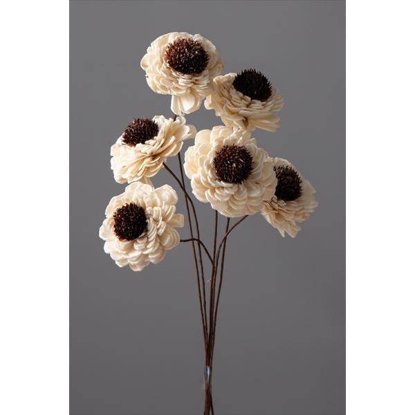 【商品詳細】【商品名】大地農園/ソーラーラナンキュラス【入り数】1束(約6本)【サイズ】約35cmL花径約6cm【注意】※ご使用のＰＣ環境により、実物の色目と差異がある場合もあります。※生花由来の商品のため、商品ごとに色・サイズ・状態等に個...