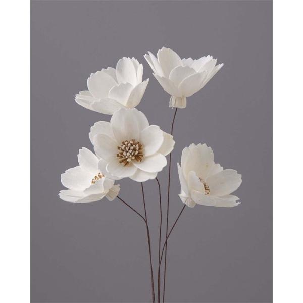 【商品詳細】【商品名】大地農園/ソーラーコスモス【入り数】1束(5本)【サイズ】花径:約4cmφ/約20cmL【注意】※ご使用のＰＣ環境により、実物の色目と差異がある場合もあります。※生花由来の商品のため、商品ごとに色・サイズ・状態等に個体...