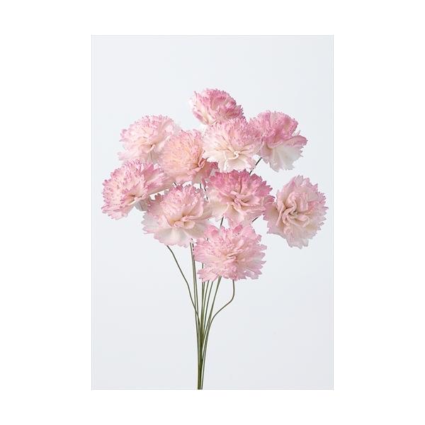 【商品詳細】【商品名】大地農園/ソーラーシフォンカーネーション・小【入り数】1束(約10本)【サイズ】約25cmL花径約3.5-4cm【注意】※ご使用のＰＣ環境により、実物の色目と差異がある場合もあります。※生花由来の商品のため、商品ごとに...