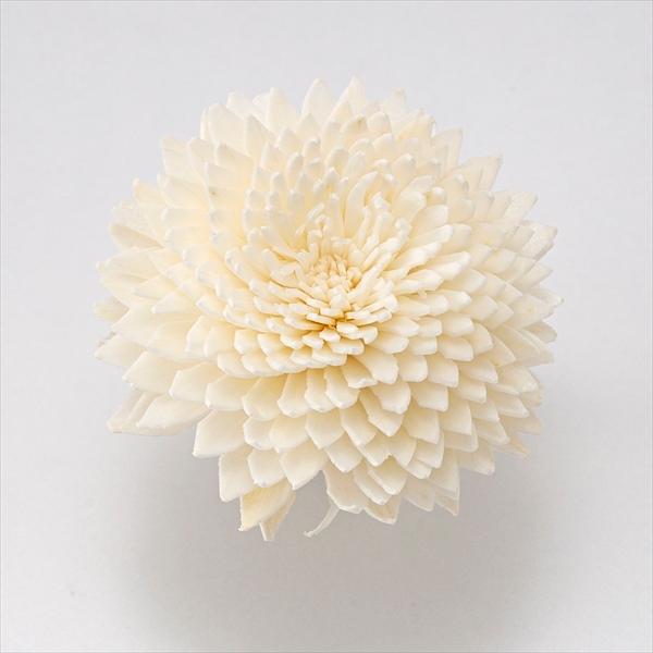 【商品詳細】【商品名】大地農園/ソーラーマム・ヘッド【入り数】1袋(約5輪)【サイズ】花径約5cm【注意】※ご使用のＰＣ環境により、実物の色目と差異がある場合もあります。※生花由来の商品のため、商品ごとに色・サイズ・状態等に個体差がございま...