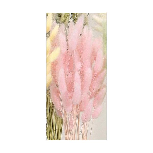 【商品詳細】【商品名】大地農園/ラグラス【入り数】1束(約15g)【サイズ】約40cmL【注意】※ご使用のＰＣ環境により、実物の色目と差異がある場合もあります。※生花由来の商品のため、商品ごとに色・サイズ・状態等に個体差がございます。そのた...