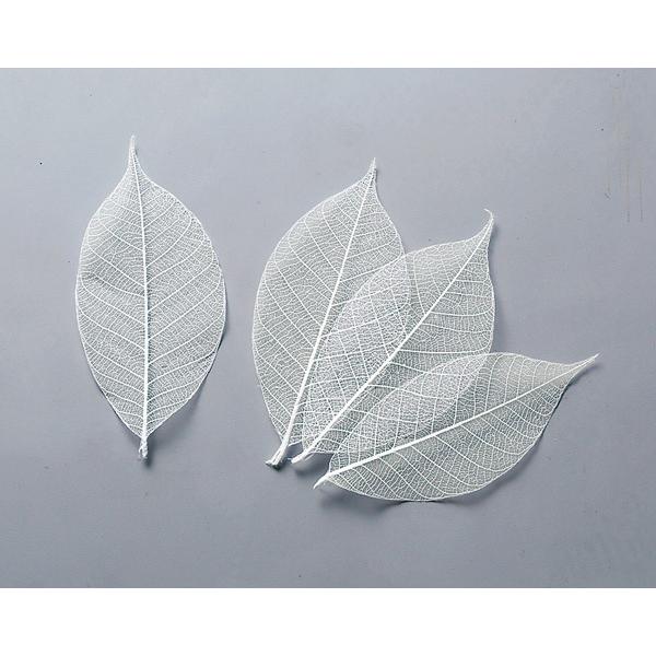 【商品詳細】【商品名】大地農園/ミニスケルトンリーフ・小【入り数】1袋（約40枚)【サイズ】約5.5-7cm【注意】※ご使用のＰＣ環境により、実物の色目と差異がある場合もあります。※生花由来の商品のため、商品ごとに色・サイズ・状態等に個体差...