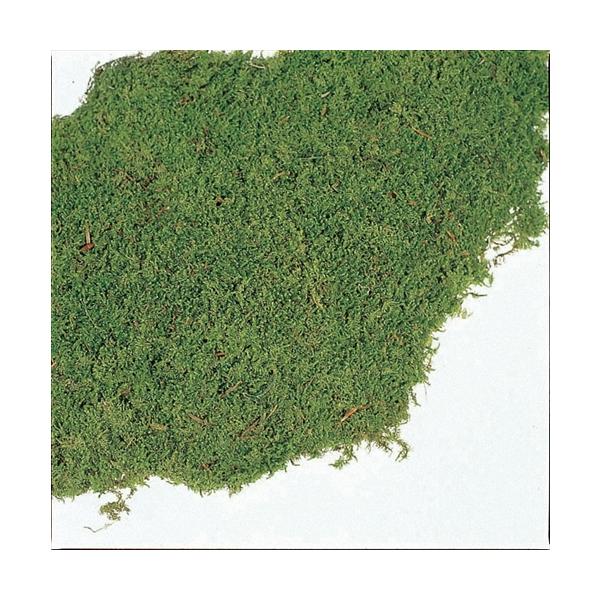 大地農園シートモス大サイズの魅力と使い方