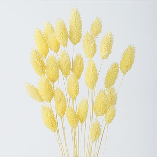 【商品詳細】【商品名】東北花材/ポアプランツ【入数】約15g【サイズ】約40cmL【注意】※ご使用のＰＣ環境により、実物の色目と差異がある場合もあります。※生花由来の商品のため、商品ごとに色・サイズ・状態等に個体差がございます。そのため、入...