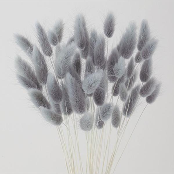 【商品詳細】【商品名】東北花材/ラグラス【入数】約15g【サイズ】約40cmL【注意】※ご使用のＰＣ環境により、実物の色目と差異がある場合もあります。※生花由来の商品のため、商品ごとに色・サイズ・状態等に個体差がございます。そのため、入荷に...