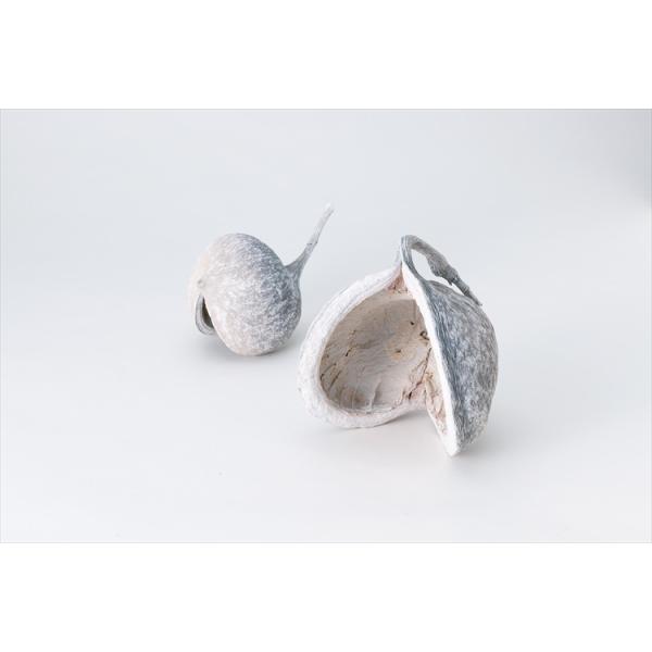 【商品詳細】【商品名】大地農園/ブッダナッツ【入り数】1袋（2コ)【サイズ】約7-12cm【注意】※ご使用のＰＣ環境により、実物の色目と差異がある場合もあります。※生花由来の商品のため、商品ごとに色・サイズ・状態等に個体差がございます。その...