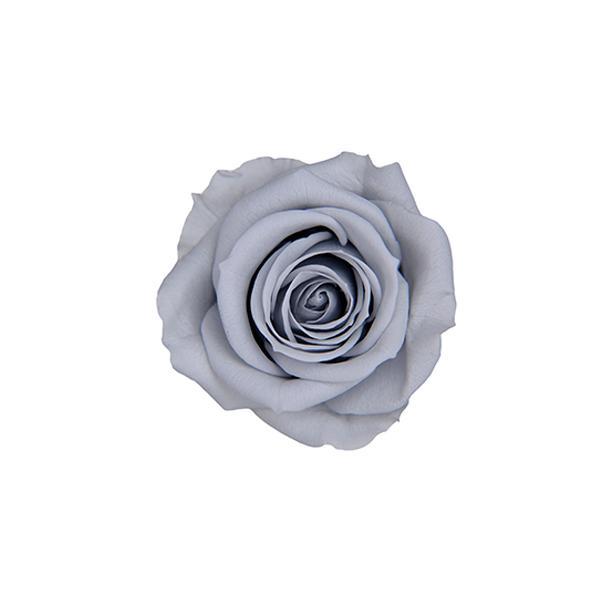 �y�v���U�[�u�h�z�t���[���G�o�[/�X�v���[���[�Y/8��/�V���L�[�O���[/FL070-83