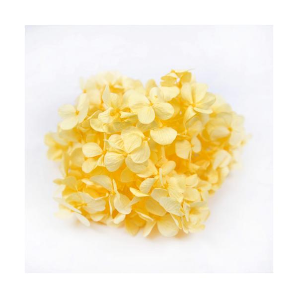 yvU[uhzt[Go[/AfXAWTC/\tgCG[/FL291-15