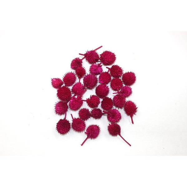 【商品詳細】【商品名】千日紅・ドライ【サイズ】約1cm〜3cm【入数】約30輪【送料】配送料:600円配送料商品5,000円以上で送料無料！【注意】※ご使用のＰＣ環境により、実物の色目と差異がある場合もあります。※生花由来の商品のため、商品...