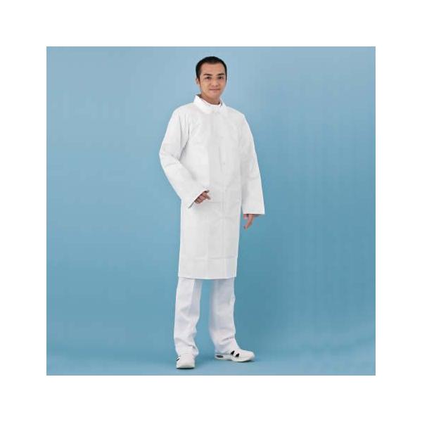 h앞 ^CxbN4250 (10) A[AX ی앞 f| ĝ   Tyvek wh앞 ˔\ ho h~