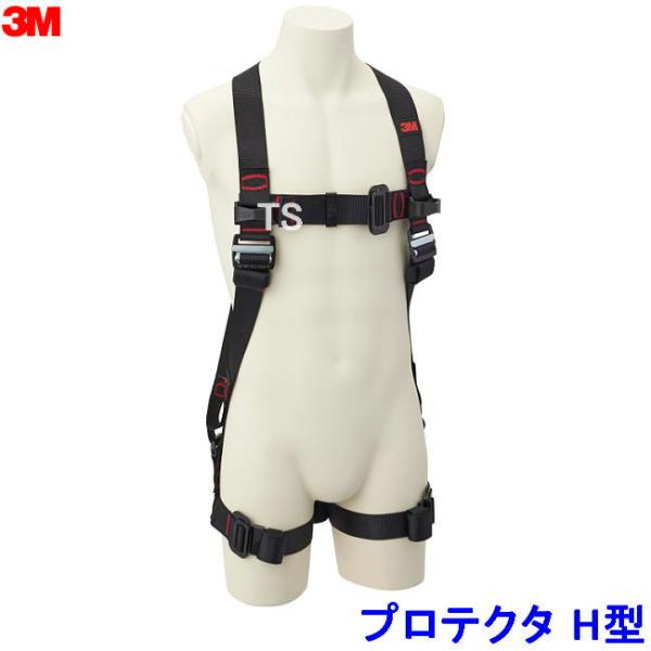 n[lX 3M veN^ tn[lX H^ S X[G ʍp xg ė~p