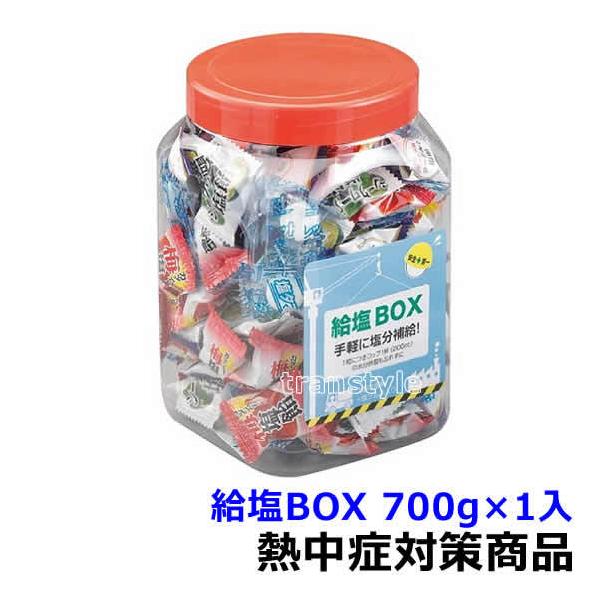 trans-style_ny100